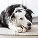 Milk-Bone Gnaw Bones Rawhide Free Chew Treats for Dogs, Chicken, 22 Small Sticks