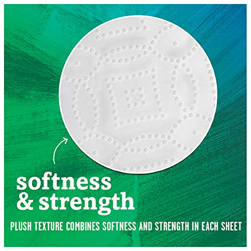 Seventh-Generation-Paper-Towels-100-Recycled-Paper-2-Ply-6-Count-Pack-of-4