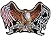 ALL GAVE SOME Military POW Eagle Motorcycle FLAG LARGE Back BIKER PATCH LRG-0426