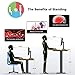 Standing Desk Converter Computer Workstation Adjustable Height Desk Home Office Desk Sit Stand Desk Dual Laptop Monitor Riser (Black)