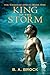 King of the Storm (The Godhead Epoch Book 1) by