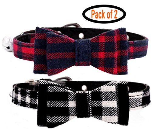 cute boy cat collars