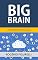 Livro Big Brain: Unindo Big Data e a Internet das Coisas para criar robôs cada vez mais inteligentes