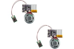 JRGKJCP Voice Module,MP3 Music Sound Chips, 16MB Sound Module for Crafts, Christmas, New Year Greeting Cards, Box with Speaker Lithium Battery Powered and USB Cable. (JR-JX7004-Push Button - 2P)