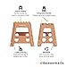 Beckworth & Co. SmartFlip Multipurpose Camping and Step Stools with Carrying Case - 2 Pack