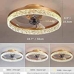 19.7" Ceiling Fan with Lights Remote