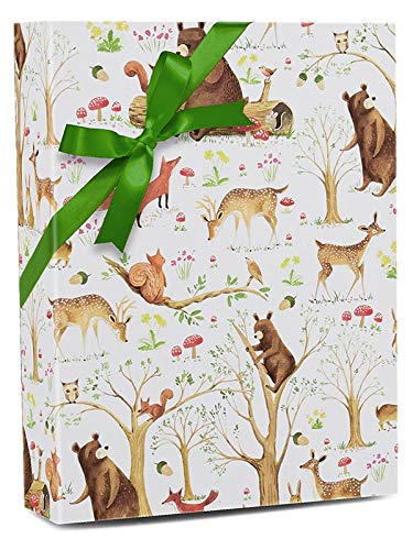 image for Fairytale Forest | 30 Inch X 10 Foot | Premium Quality Holiday Gift Wr