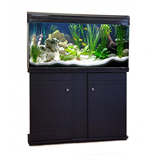 120l fish tank