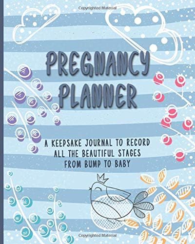 Pregnancy Journal : A Keepsake Journal To Record All The Beautiful Stages From Bump To Baby: A Week By Week Planner Organizer For Mom To Be