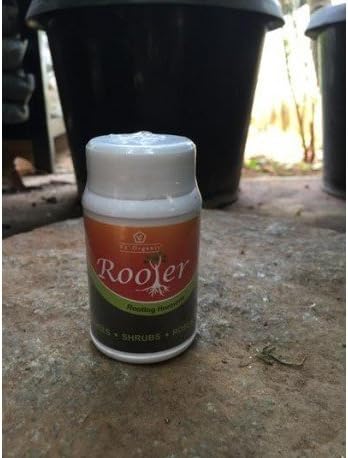 The Garden Store ROOTER