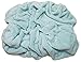 Chanasya Super Soft Warm Elegant Cozy and Decorative Velvet Fleece Aqua Blue Microfiber Throw Blanket (50