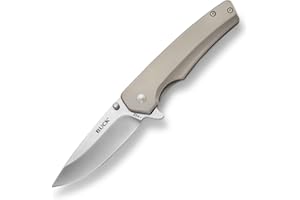 Buck Knives 254 Odessa Folding Frame Lock Pocket Knife with Stainless Steel Handle