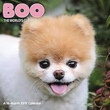 Boo Wall Calendar (2019) by