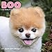 Boo Wall Calendar (2019) by