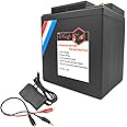 LiFePO4 12v Battery Motorcycle Lithium Phosphate Iron Battery - High Performance - Built-in BMS Voltage Protection Board Replacement YTX30L-BS For Harley Davidson Polaris Sportsman KP30L-BS