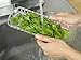 Prepara Herb Savor,Clear, 1 count