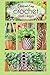 Crochet Plant Hangers (Quick and Easy Crochet) (Volume 1) by Vicki Becker