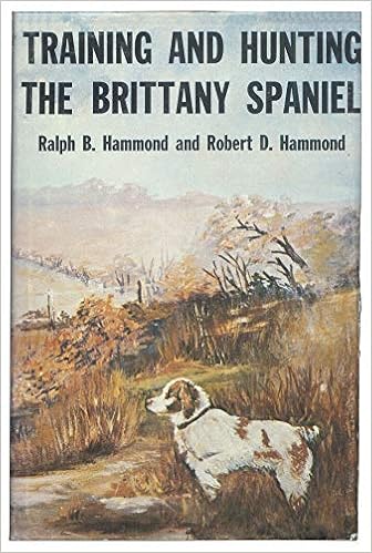 brittany spaniel training