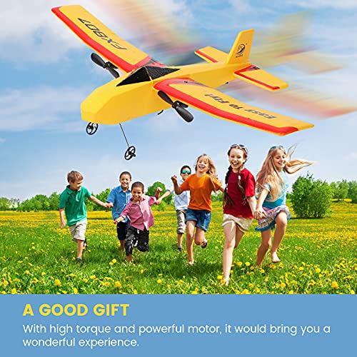 RC Plane Ready to Fly EPP Remote Control Airplane ,2.4GHz 2 Channels
