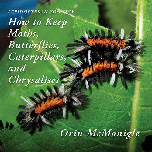 Lepidopteran Zoology: How to Keep Moths, Butterflies, Caterpillars, and Chrysalises by Orin McMonigle