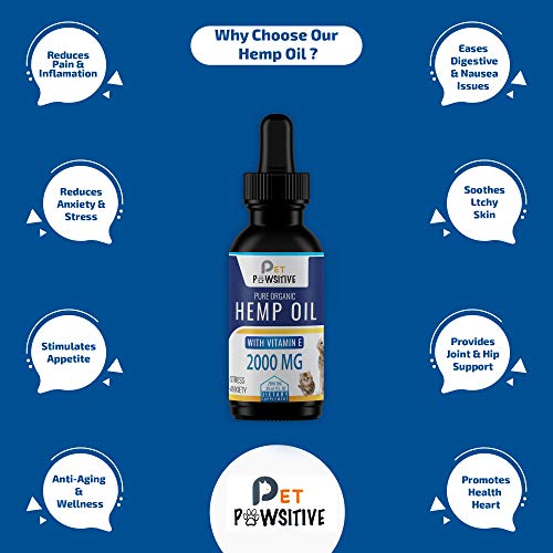 4 Pet+Pawsitive+Separation+Arthritis+Anti+Inflammatory