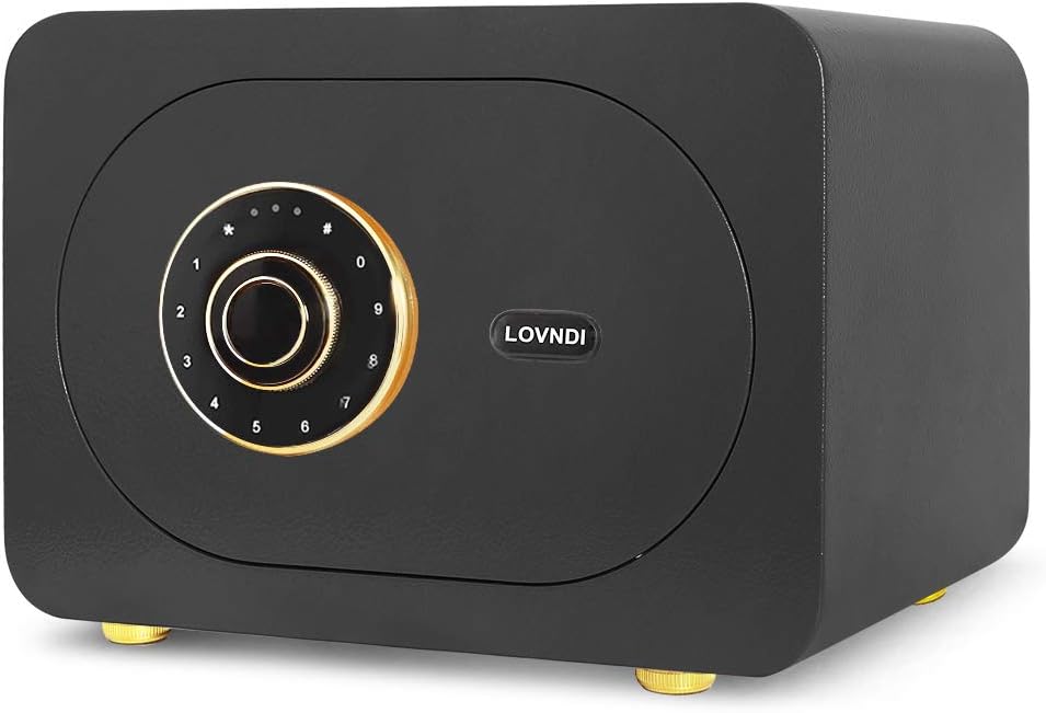 Lovndi Security Safe Box 1.0 Cubic Feet, Digital Safe Electronic Home Safe with Keypad, 15.7 x 11.8 x 10.6 inches, Black