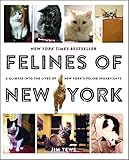 Felines of New York: A Glimpse Into the Lives of New York's Feline Inhabitants by Jim Tews