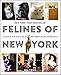 Felines of New York: A Glimpse Into the Lives of New York's Feline Inhabitants by Jim Tews