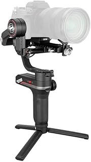 Zhiyun Weebill S