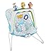 Fisher-Price Musical Friends Bouncer