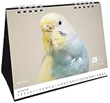 インコのいる暮らしカレンダー 卓上タイプ(2015年版) (チャリティ商品)