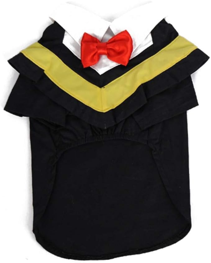 dog graduation outfit