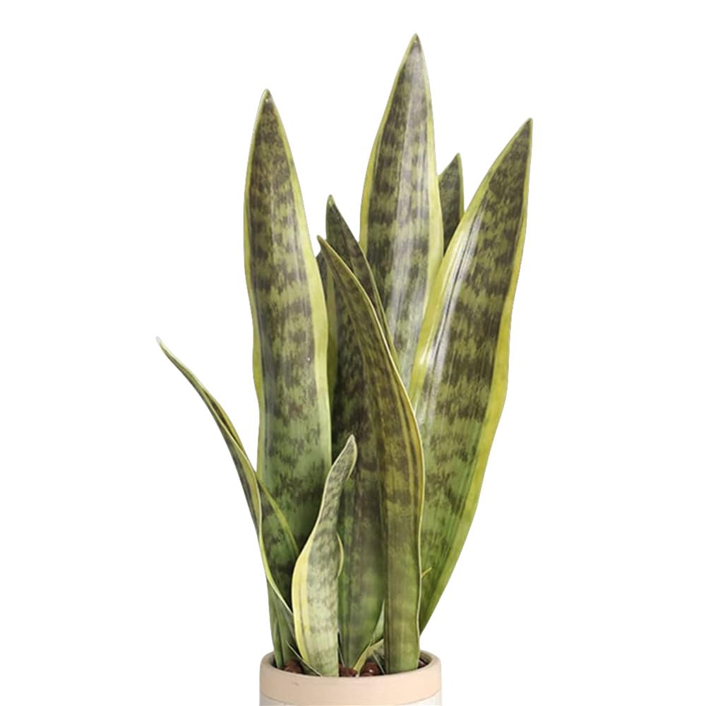 XZJMY Artificial Snake Plant,16.5" Artificial Plant Fake Sansevieria Plant Indoor Decorative Faux Plant for Home Office Store Decoration,Without Vase (Yellow, 3)
