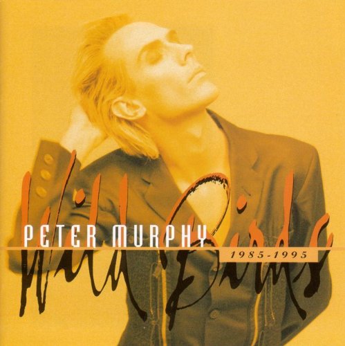 Peter Murphy - Wild Birds - Zortam Music