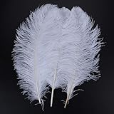 LanShi Natural 16-18 inch(40-45cm) Ostrich Feathers Plume for Wedding Centerpieces Home Decoration White 10PCS