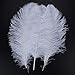 LanShi Natural 16-18 inch(40-45cm) Ostrich Feathers Plume for Wedding Centerpieces Home Decoration White 10PCS primary