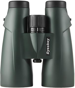 giant binoculars