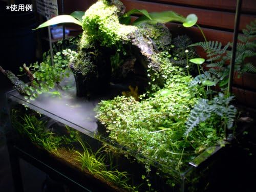 Amazon 超音波霧発生装置 ミストメーカー アクアテイラーズ ウォーターポンプ 通販