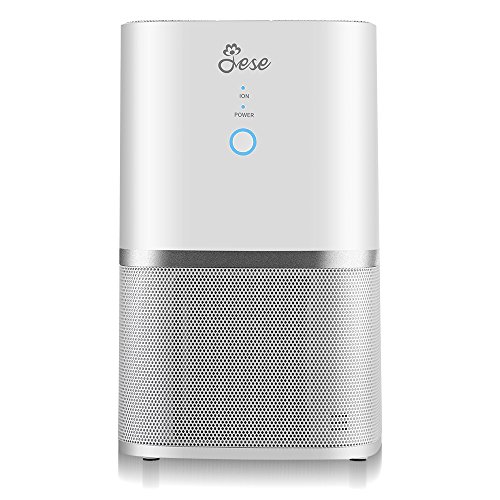 Best HEPA Air Purifiers Buying Guide GistGear