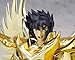 Bandai Tamashii Nations Saint Myth Cloth 10th Anniversary Version Phoenix Ikki God Cloth Action Figure