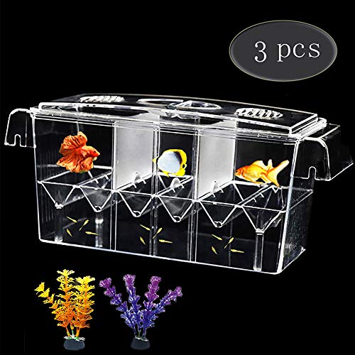 marina hang on breeding box petsmart