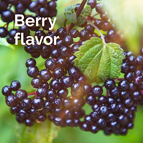 EmergenC Elderberry Fizzy Drink Mix, Elderberry Immune Support