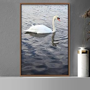 signwin Framed Canvas Wall Art Single Bird Birds...