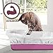 Alfapet Kitty Cat Pan Disposable, Elastic Liners- 10-Pack-For Large, X-Large, Giant, Extra-Giant Size Litter Boxes- With Sta-Put Technology for Firm, Easy Fit- Quick + Clever Waste Cleaners, Psck of 4