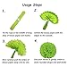 Recosis Hanging Paper Fan Set, Tissue Paper Pom Poms Flower Fan and Honeycomb Balls for Birthday Baby Shower Wedding Festival Decorations - Green