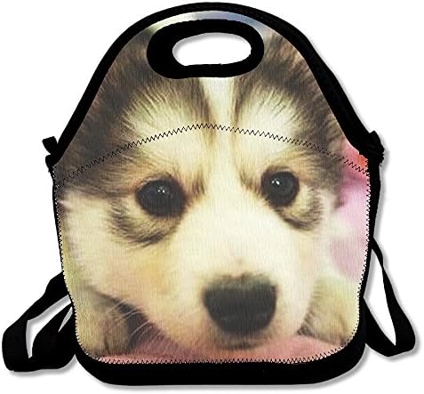 BRANDON Day Cute Puppy Boys Girls Insulated Polyester Fiber Lunch Box Bag Lunch Tote Handbag Lunchbox Food Container Gourmet Tote Cooler Warm Pouch For School Work Office Picnic Travel