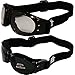 Birdz Eyewear Eagle Padded Motorcycle Safety Goggles 2 Pairs Black Frame w/Clear & Polarized Smoke Lenses, Day and Night Goggles