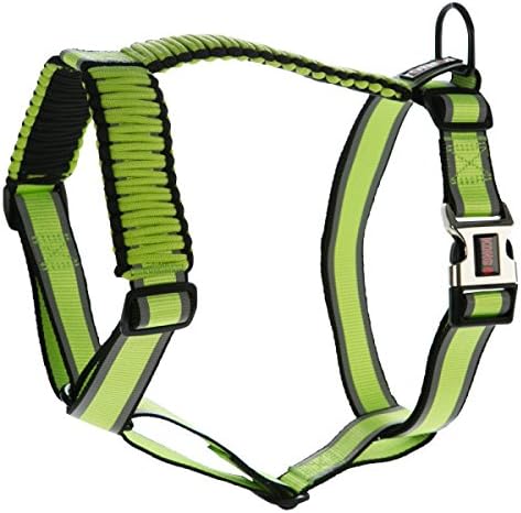 kong on the go harness