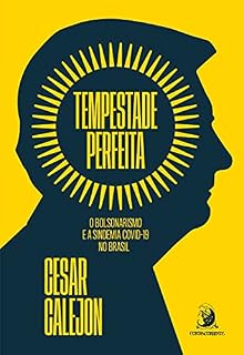 Livro Tempestade perfeita: o bolsonarismo e a sindemia covid-19 no Brasil