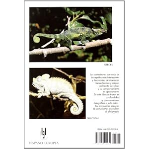 Camaleones, especies / Chameleon species (Spanish Edition)